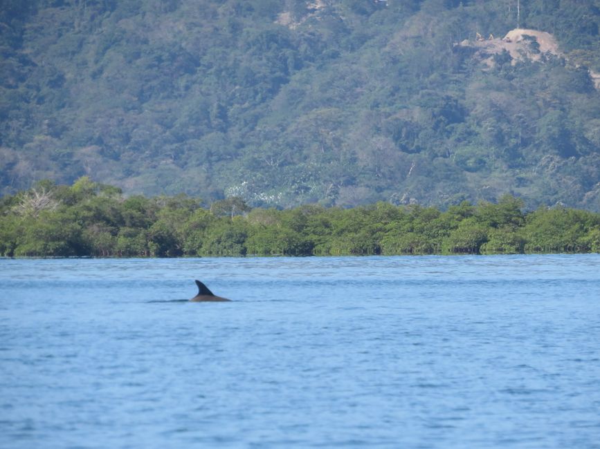 5. Bocas del Toro - Dolphin Bay Hideaway