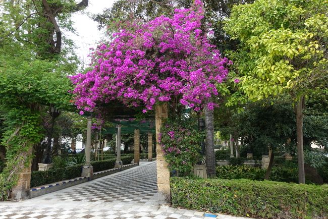 Cadiz Park