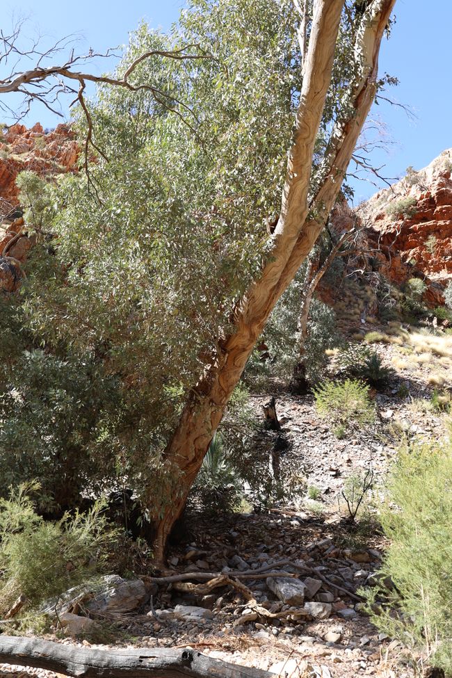 Standley Chasm