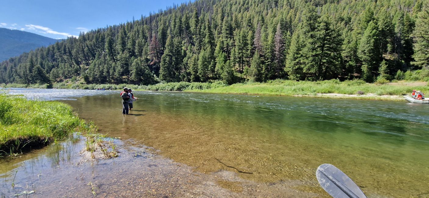 Fly Fishing on the upper Salmon River