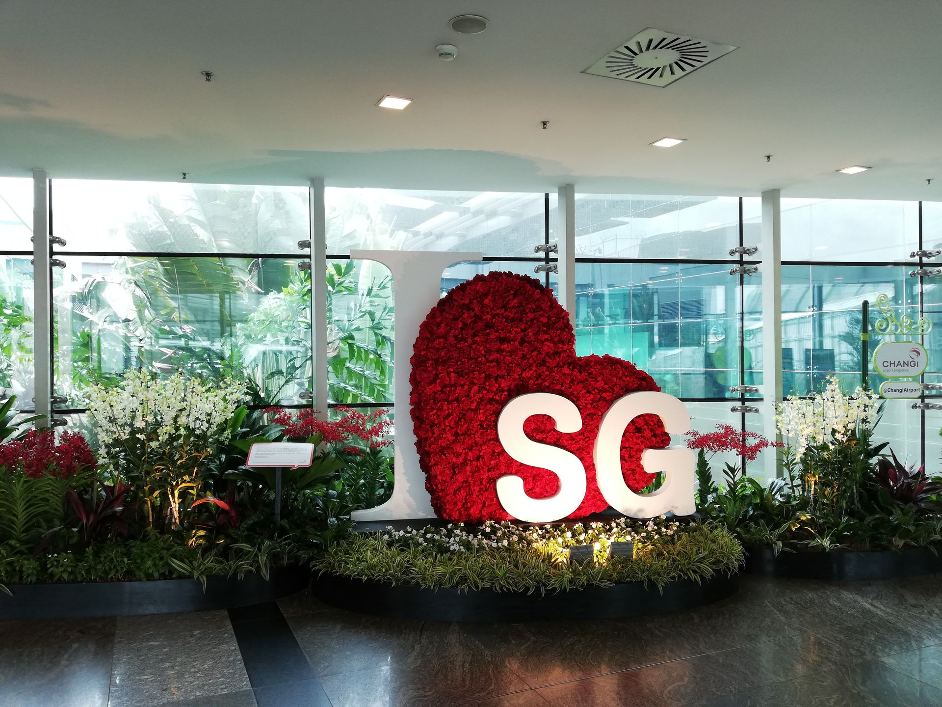 Aeropuerto de <a href="/es/destination/594e6bb07412bcbe3fea25d3/singapore" target="_blank">Singapur</a>