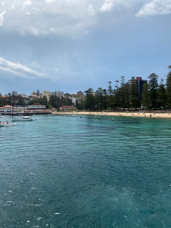 Manly Cove