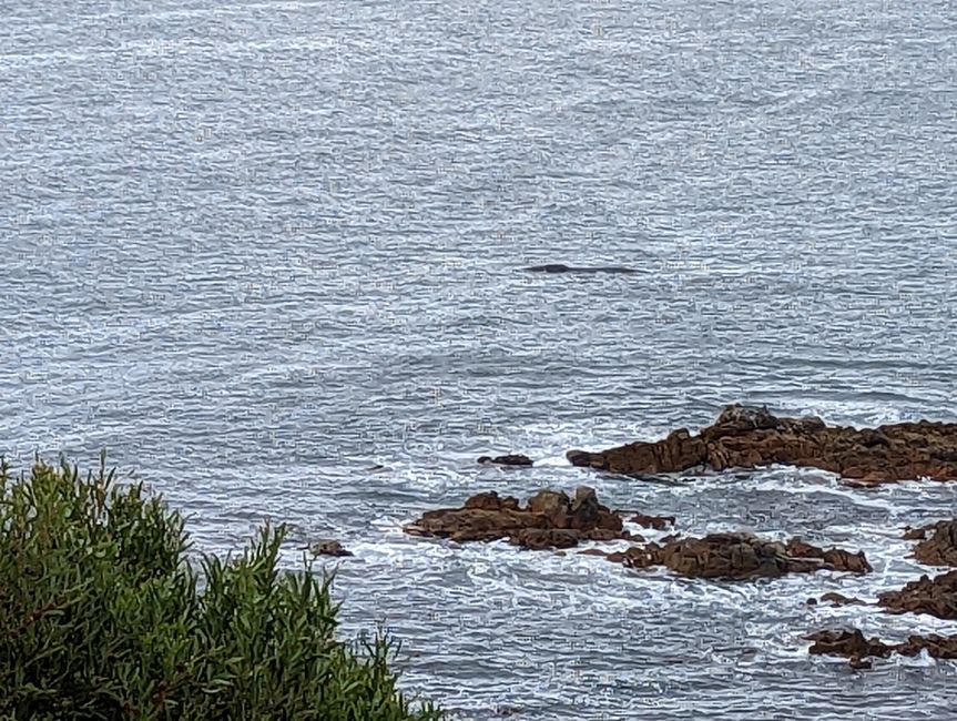 D'Oudtshoorn à Hermanus - avec un détour dans le 'Midwest'