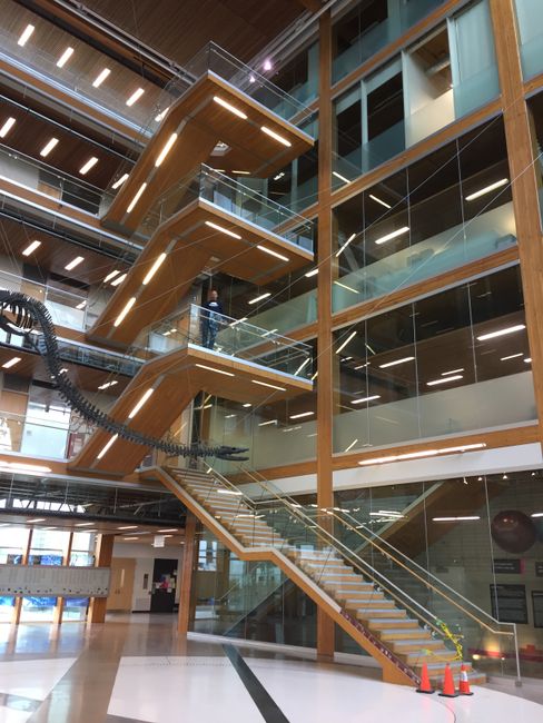 Flying Stairs