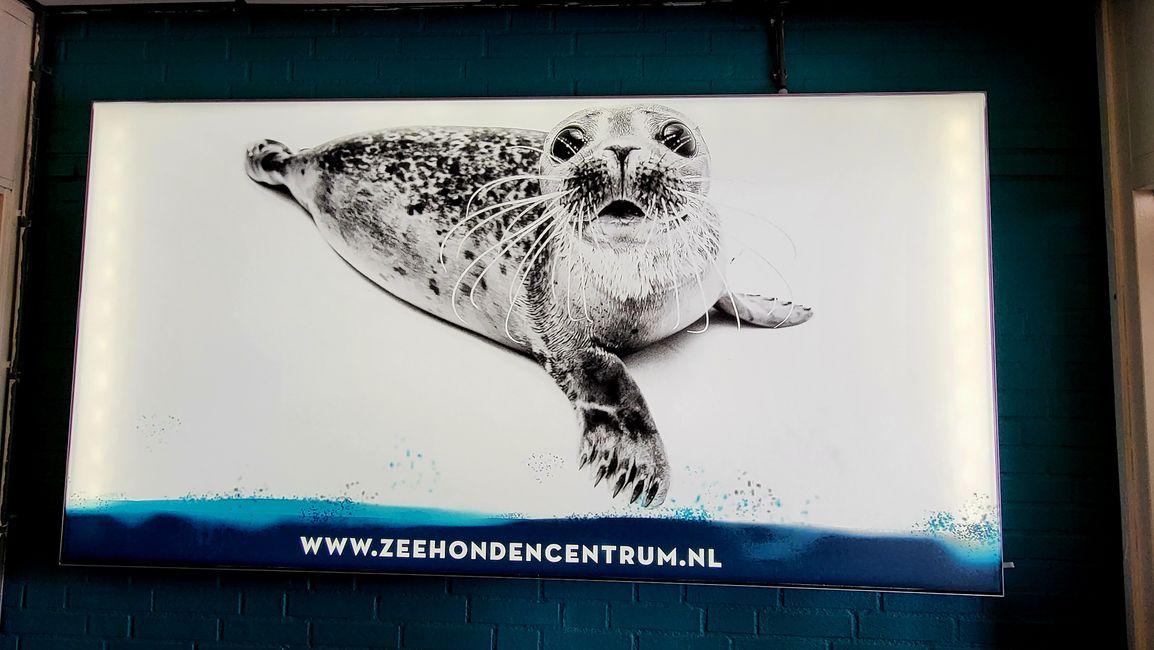 Seal sanctuary