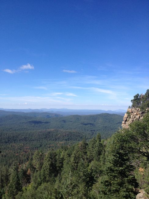 Arizona kann auch Wald!