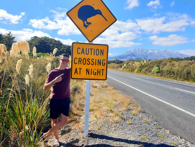 Kiwi-Straßenschild