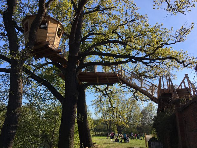Deluxe treehouse
