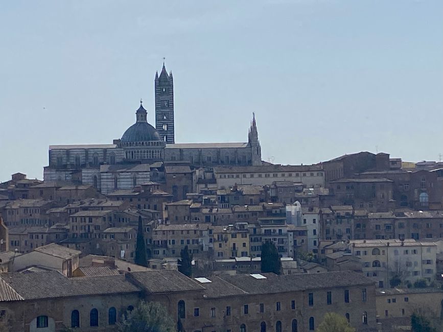 Siena from the Fortezza medicea