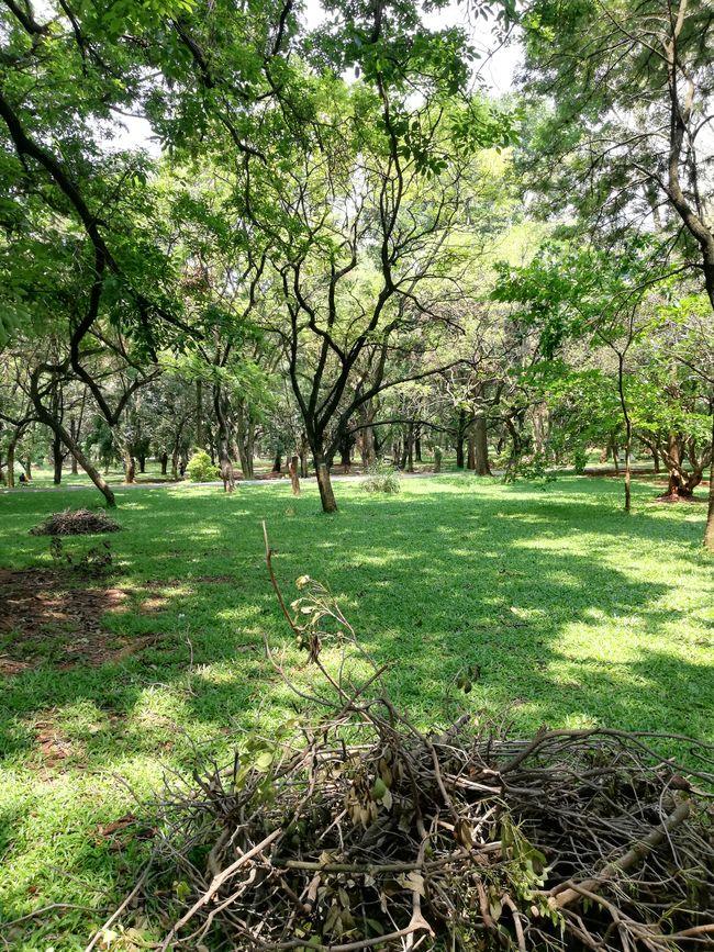Cubbon Park and Iscon Temple