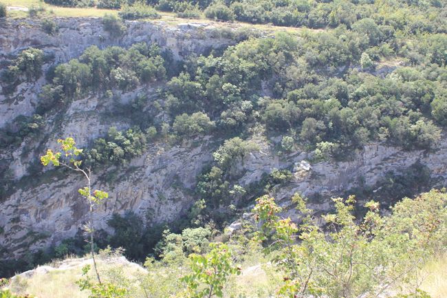 14.08.2018 - Kerkini, Tropfsteinhöhle, Filipi, Kavala, Tychero (Dadia Nationalpark)