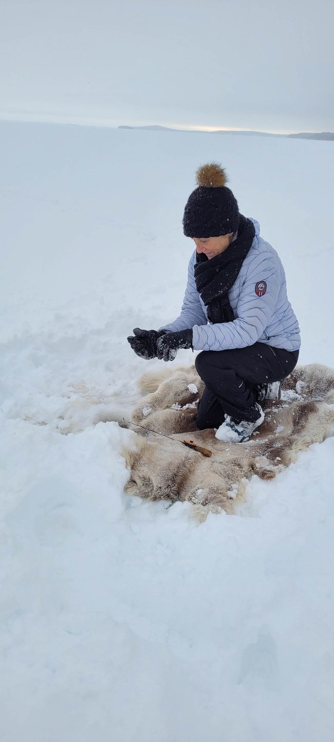 Luleå 7 de febrero de 2022