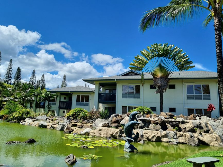 Hawaii 2022 - Teil 2: Kauai