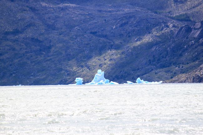 floating icebergs in front of the Grey Glacier
