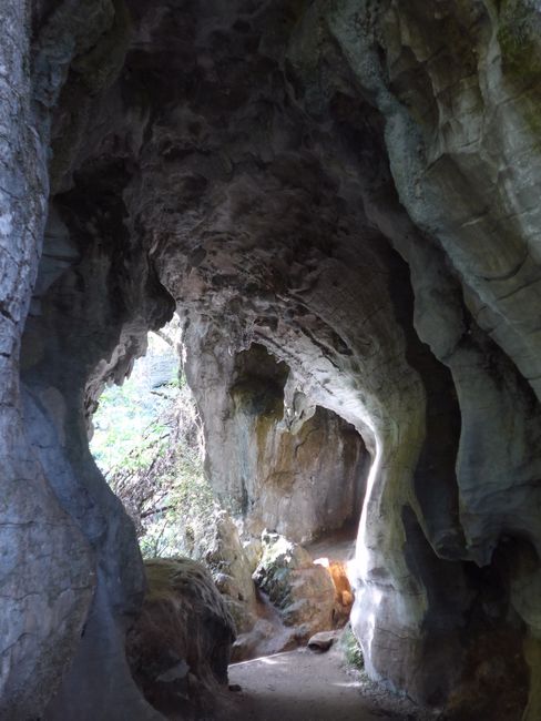 Waitomo Caves (New Zealand Part 6)