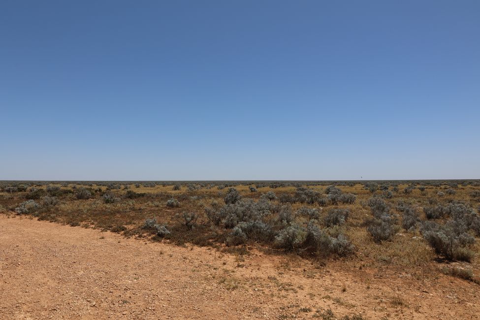 Nullarbor - no trees anywhere