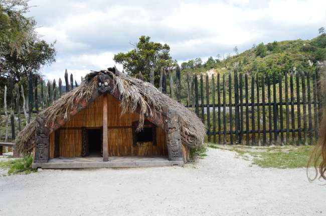 Te Puia - Vapeur de geyser, culture Maori et un kiwi vivant