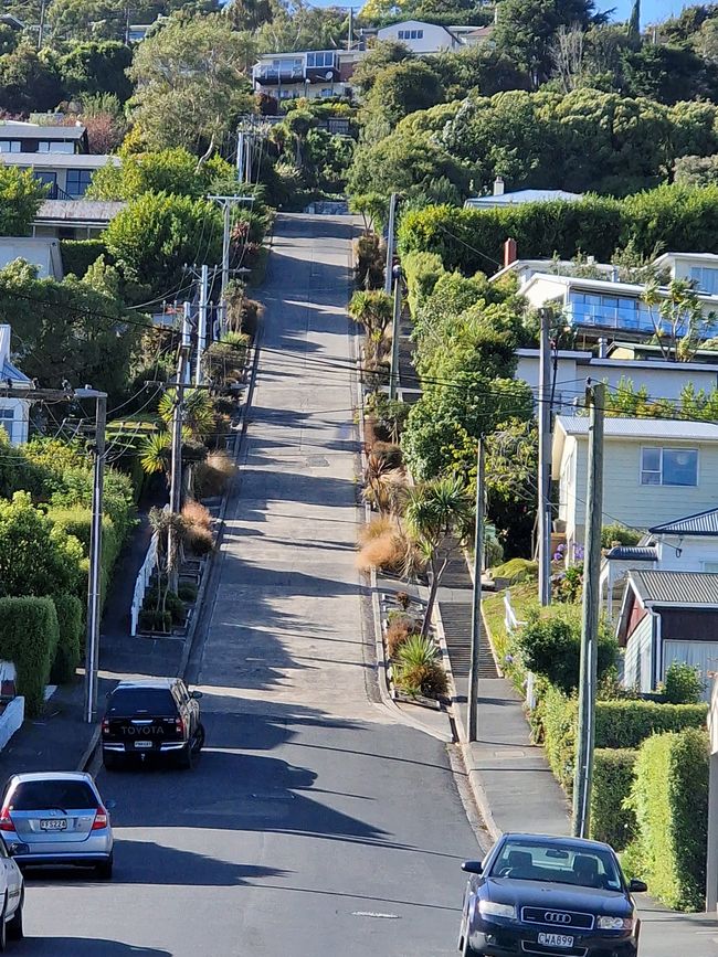 the steepest street in the world