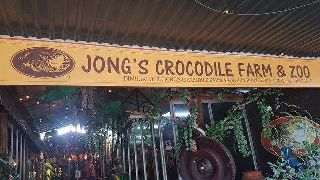 Today we visited this crocodile farm.