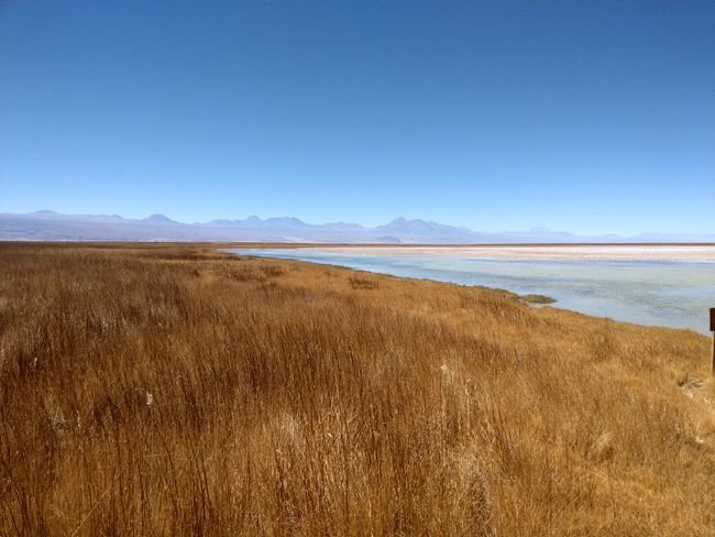 Chile - San Pedro de Atacama