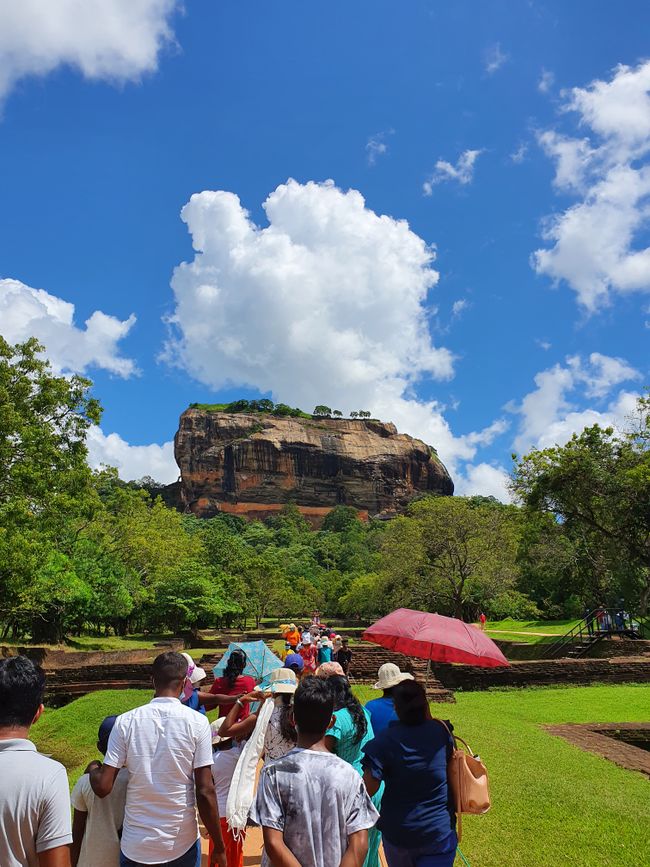Der Blick auf den Sigiriya-Felsen