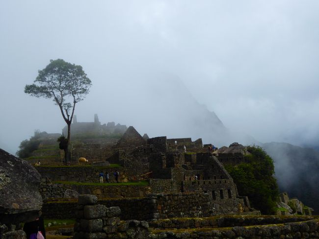 Cusco: Machu Picchu and Rainbow Mountains - the lost realm of the Incas