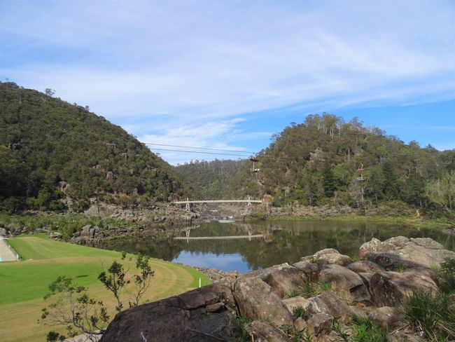 Tasmanien: im Land des tasmanischen Teufels