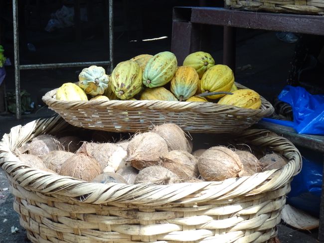 Kakaobohnen und Kokosnüsse