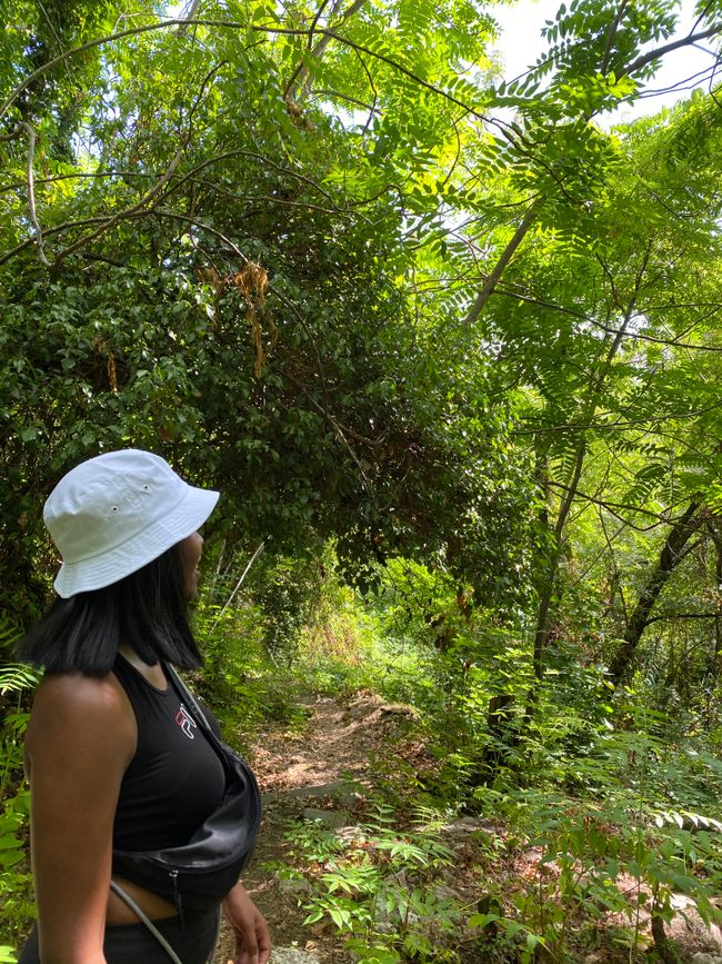 Wandern, schwitzen, meckern