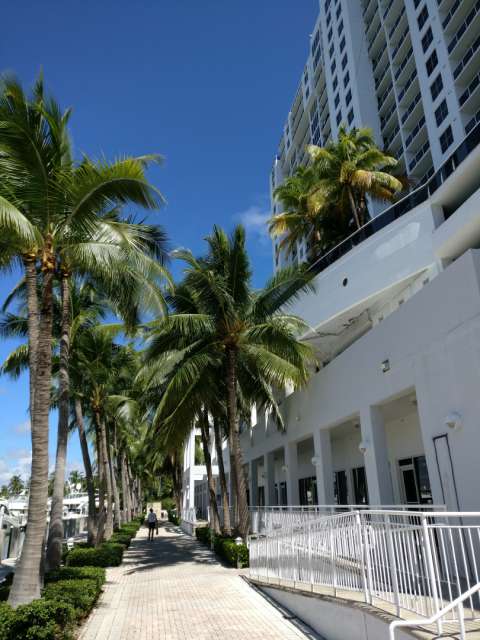 Miami - Day 3 - Sightseeing in Miami Beach