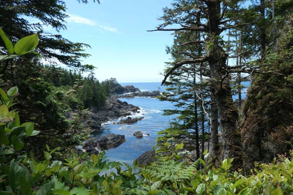 Do. 30.6.: - Ucluelet - Wild Pacific Trail