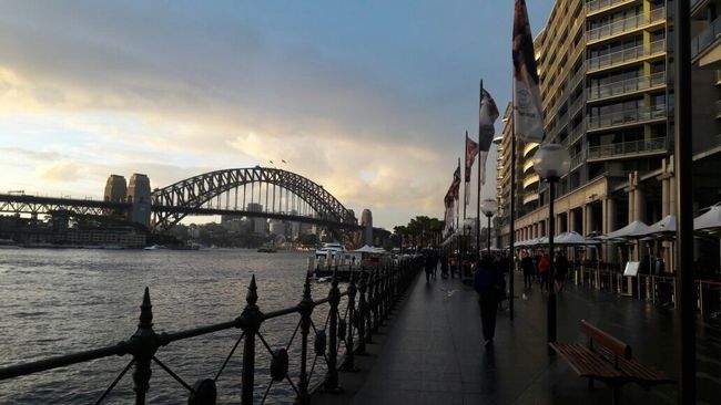 Oper, Harbour Bridge and Kangaroos