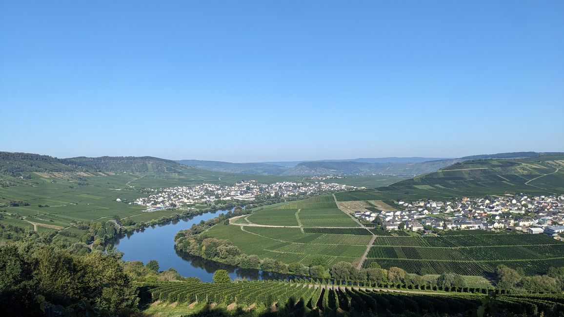 View of Leiwen on the left and Trittenheim on the right