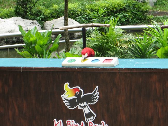 KL Birdpark