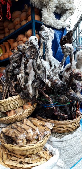 Llama fetuses at the Witch Market in La Paz