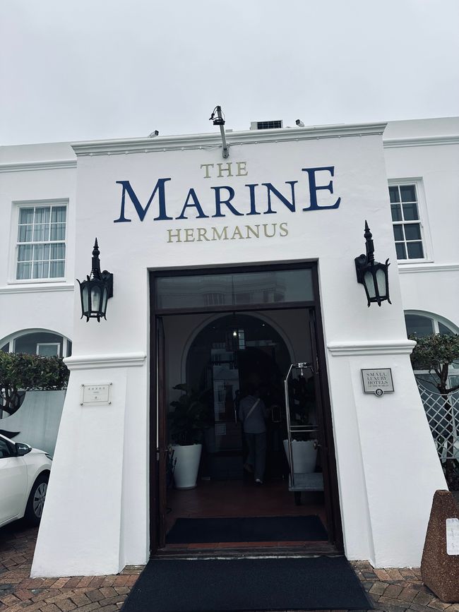 Hermanus ♥️
