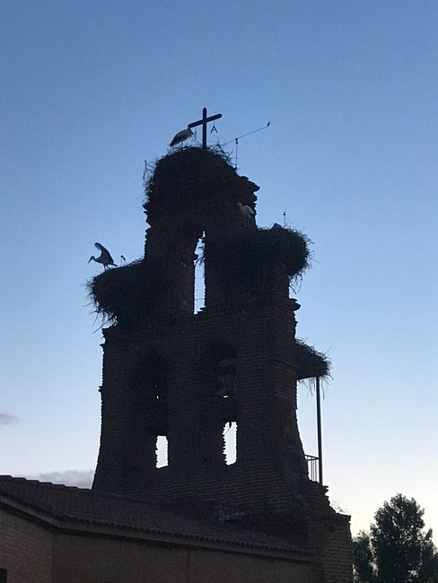 98th day/July 6th: Valverde de la Virgen - Santibáñez de Valdeiglesias