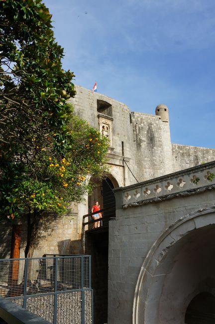 Pile Tor: Eingang zur Altstadt