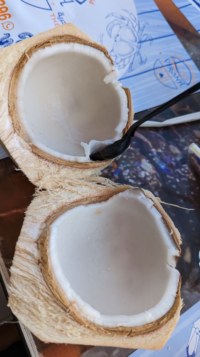 Kokosnuss zum Mittagessen