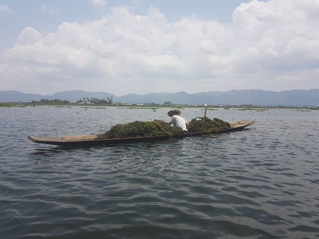 Using the boat across Inle Lake