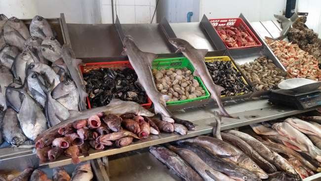 Fischmarkt in Caleta Portales ... da gibts sogar Haie zu kaufen :(