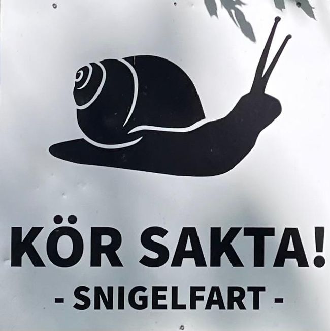 Snigelfart - at the campground