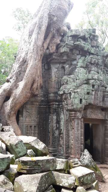 The Temples of Angkor in Cambodia