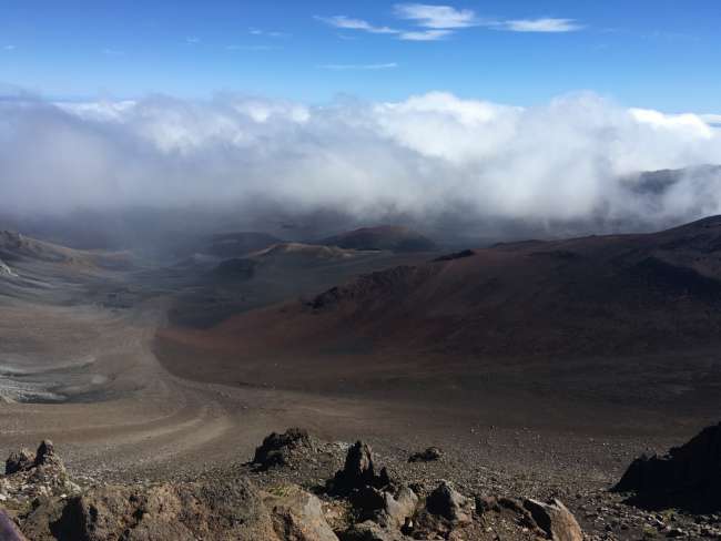 Aletschgletscher im Haleakalā?