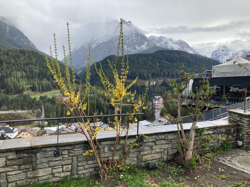 A touch of spring in Scuol
