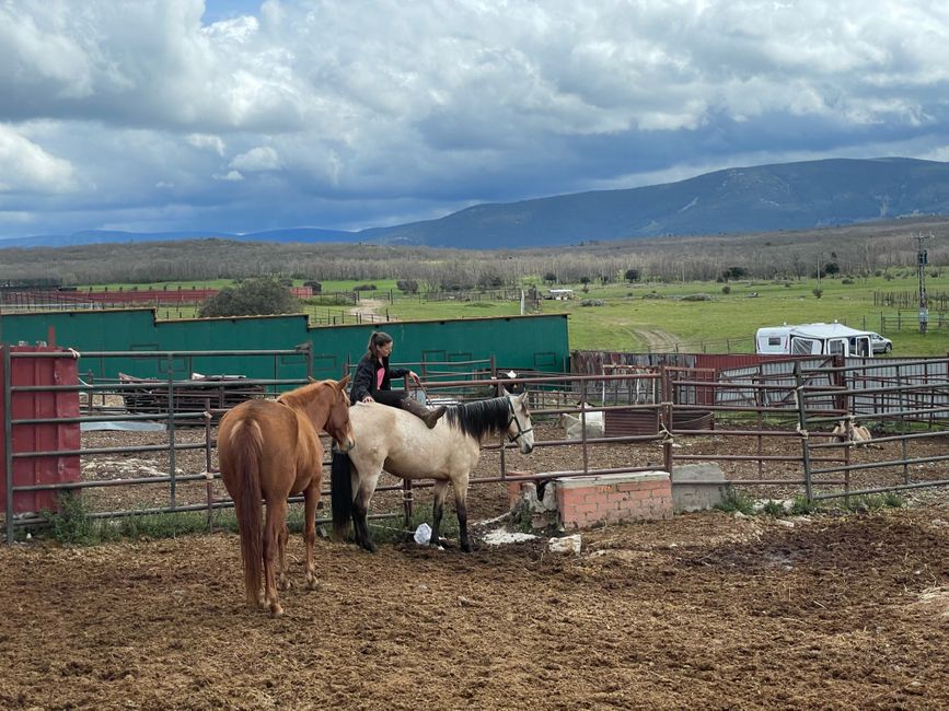 April 14 - Working with the mares