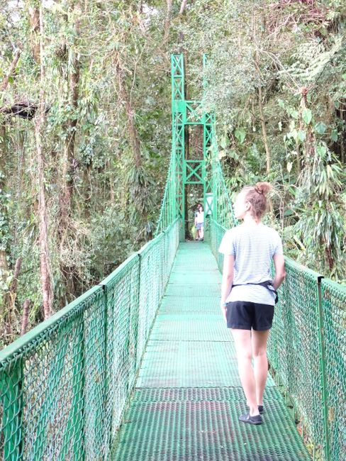 Hanging Bridges Monteverde
