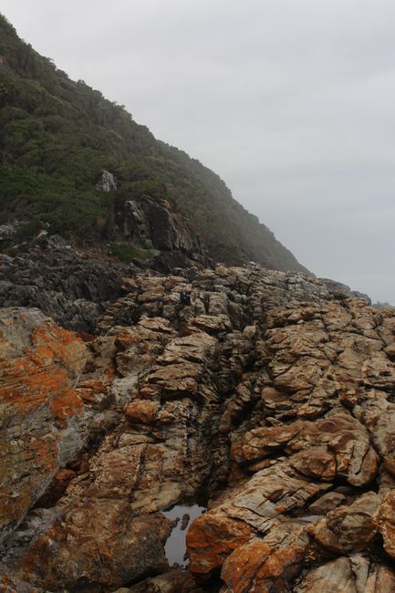9. Tag - Storms River