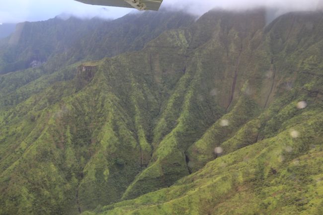Wings over Kauai