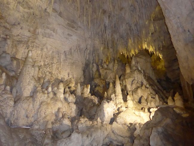 Waitomo Caves (New Zealand Part 6)